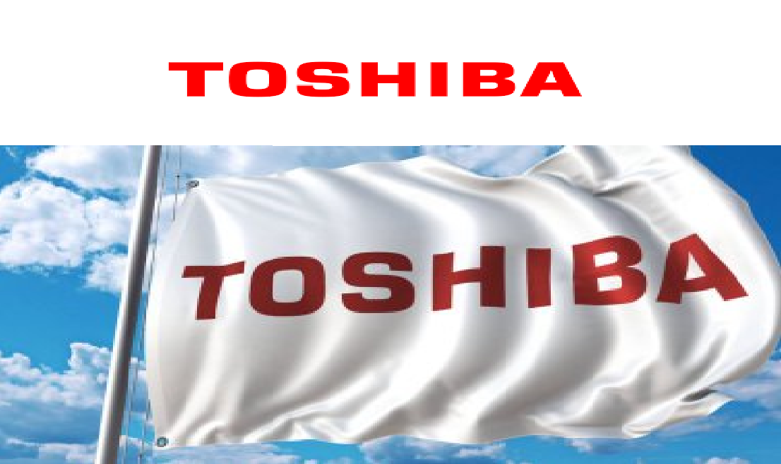 İzmir Gaziemir Toshiba Kombi Klima Servisi